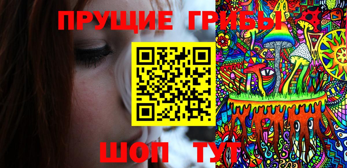 Галлюциногенные грибы прущие грибы Зеленодольск