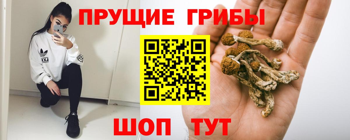 Галлюциногенные грибы мухоморы  Галлюциногенные грибы MAGIC MUSHROOMS  Вход с VPN  Зеленодольск 